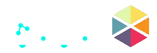 Brains Beyond Logo